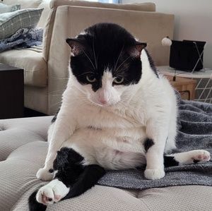 Meet your Posher, Nick